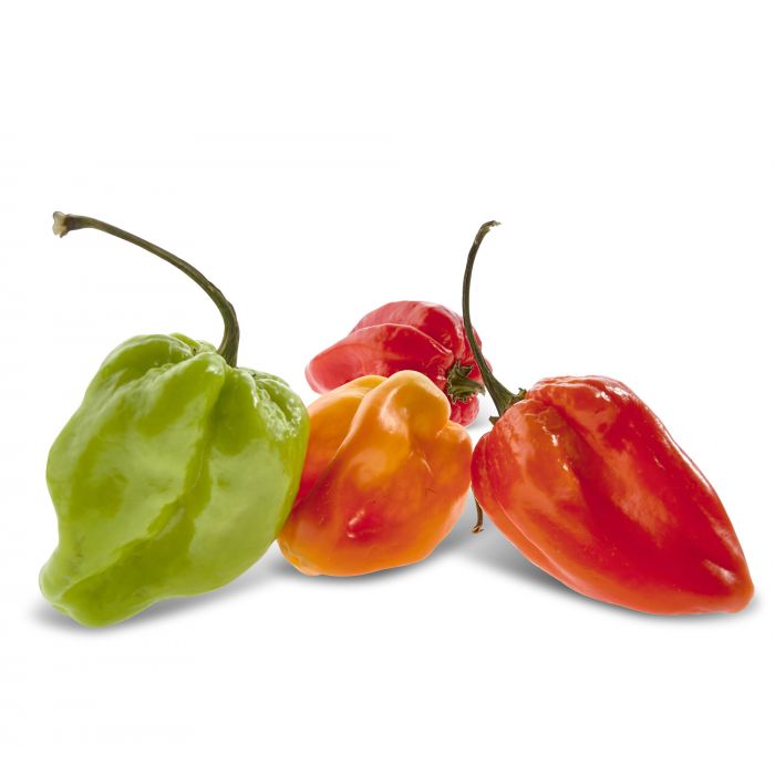 Piments antillais