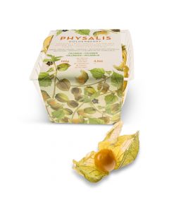 Physalis