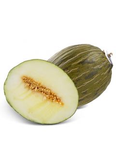 Melon Piel de Sapo