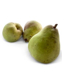 Peren Doyenne