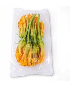 Fleurs de Courgettes
