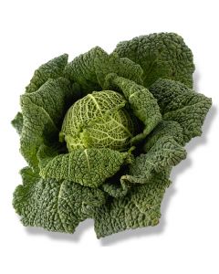 Groenekool