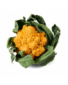 Oranje Bloemkool
