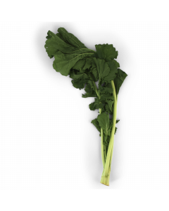 Cime di Rapa