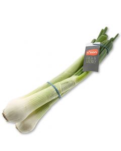 Grote Uien - Bosje