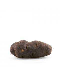 Vitelotte Aardappel