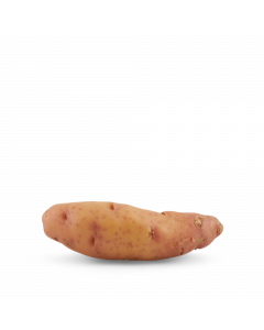 Hoorns van Gatte Aardappel