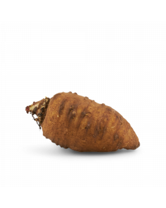 Knolkervel