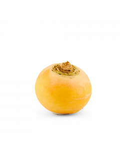 Boterraap