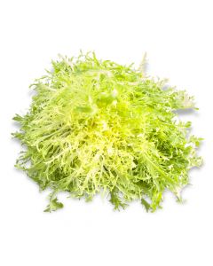 Frisée Fine