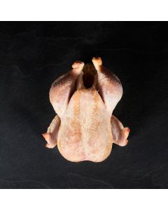 Poule à Bouillir