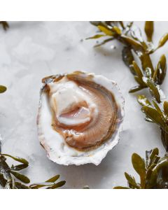 1/2 Dozijn Gillardeau n°3 Oesters