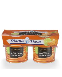 Yaourt Mandarine Citron Vert - 2 x 150 g