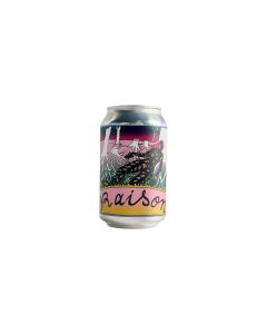 Raison – Saison – Brasserie Illegaal – 33 cl