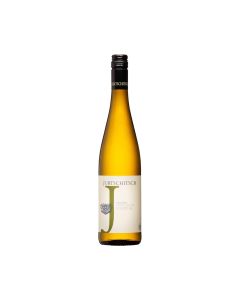 Grüner Veltliner « Terrassen » 2024 – Weingut Jurtschitsch - 75cl