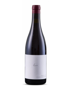 Pinot Noir 2019 Claus Preisinger - 75 cl