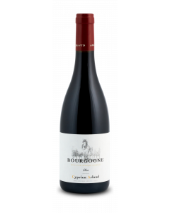 Bourgogne Rouge 2019 Oka Domaine Arlaud - 75 cl