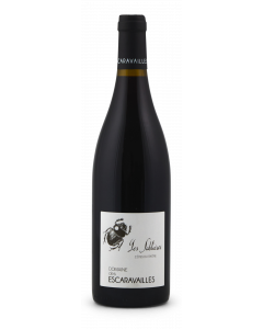Côtes du Rhône 2022 Sablières Escaravailles - 75 cl