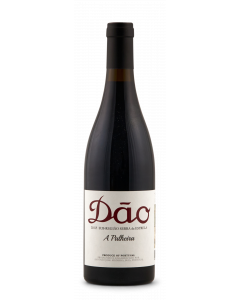 Dao 2018 "A Palheira" Antonio Madeira - 75 cl