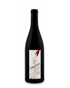 Champ Levat Rouge 2019 Jean-Yves Péron - 75 cl