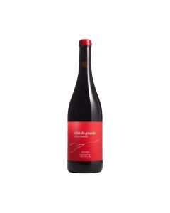 Côte Roannaise « Éclat de Granit » 2024 – Domaine Sérol - 75cl