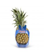 Ananas Victoria