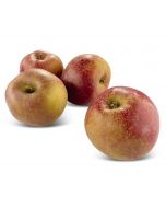 Pommes Boscoop