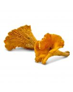 Girolles