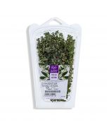 Thym Citron - 15 g 