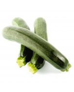 Courgette 