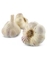 Paarse Knoflook - Los