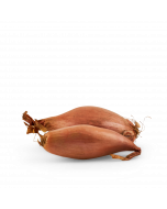 Echalotte Kipboutje