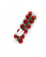 Tomates Cerises