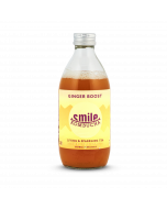 Bio Kombucha 'Ginger Boost' - 33 cl