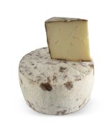 Tomme du Larzac