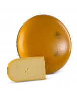 Jonge Gouda