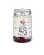 Yaourt Bio aux Figues - 150 g