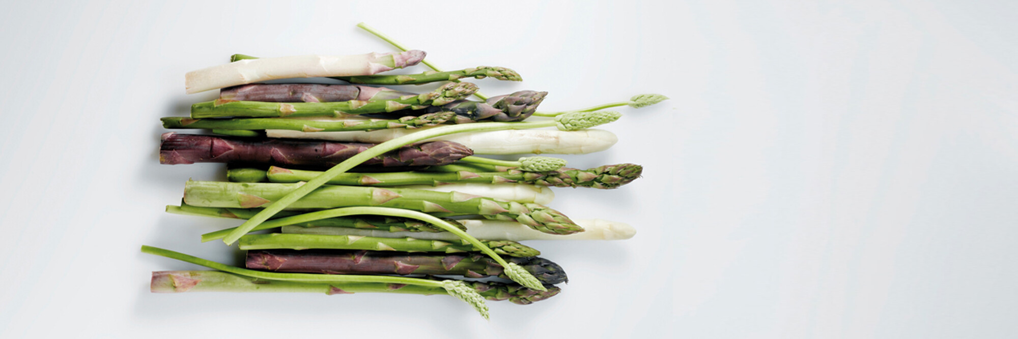 Asperges, een ware delicatesse van bij ons