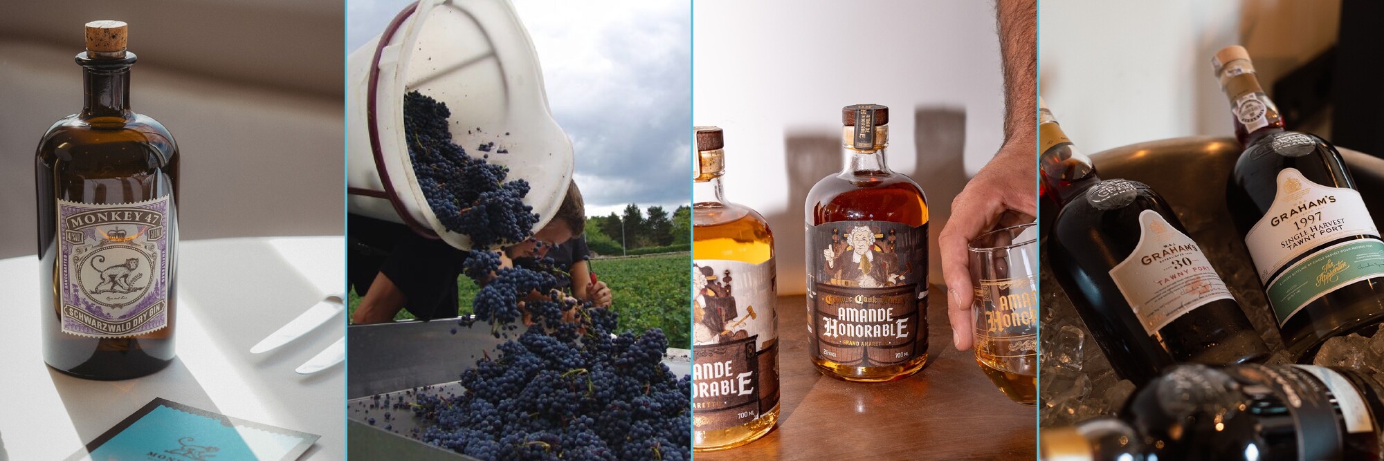 L'agenda des dégustations des vins -  Mai 2026 