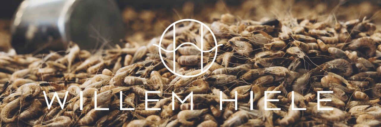 Sterren in de keuken bij Rob met chef Willem Hiele