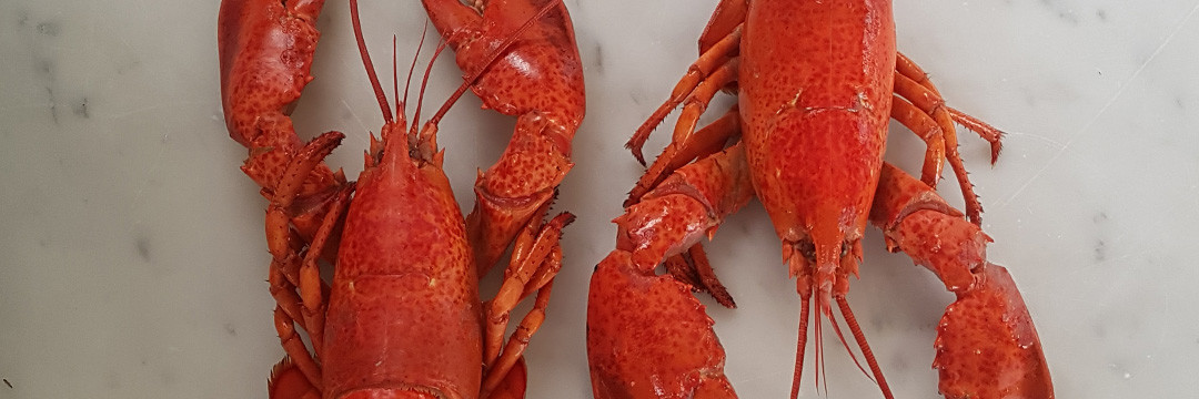 Recette de baby homard au beurre à la truffe