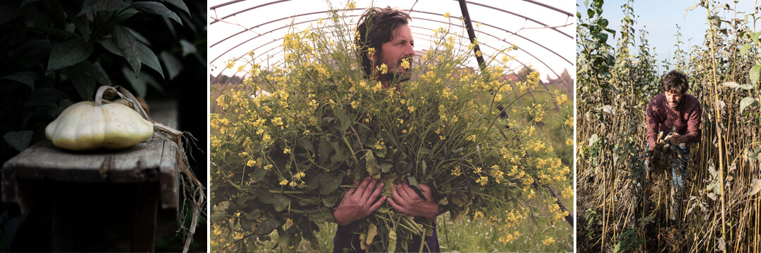 Le Monde des Mille Couleurs : la permaculture dans votre assiette