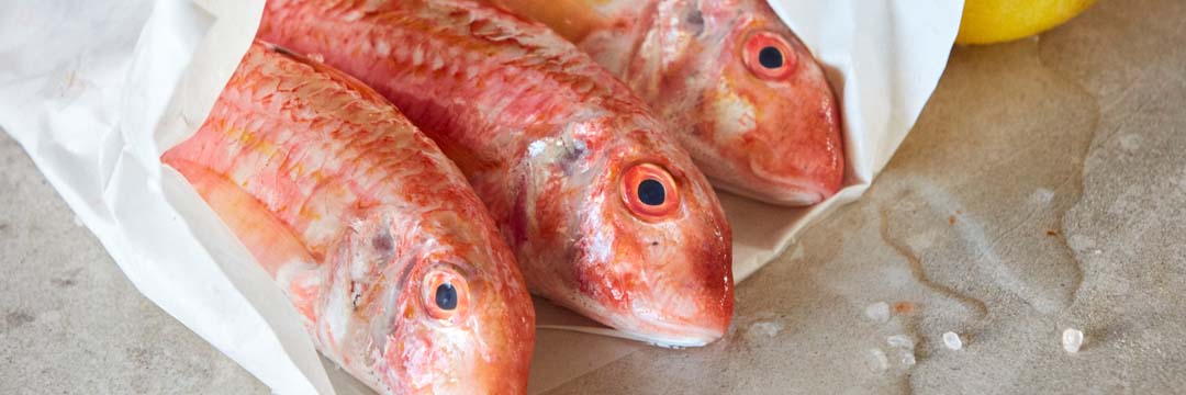 Le rouget barbet de nos côtes est au meilleur de ses saveurs