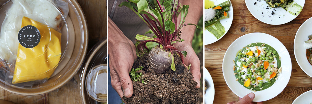 Avis aux fans de cuisine naturelle et de saison : Tero arrive chez Rob !
