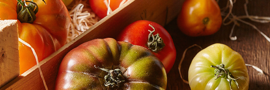 Les tomates Amaluna