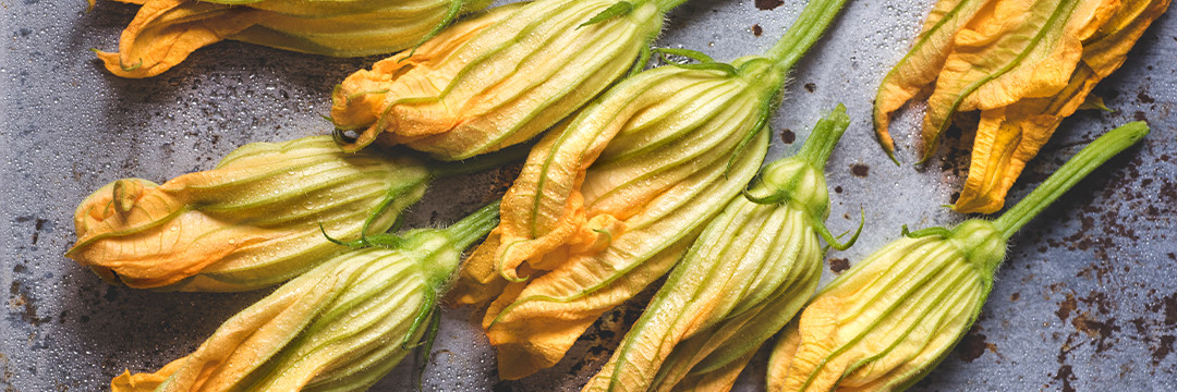 Fleurs de courgettes farcies à la langoustine