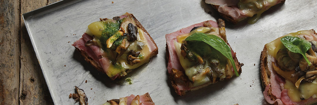 Tartine gourmande de pain recuit et champignons