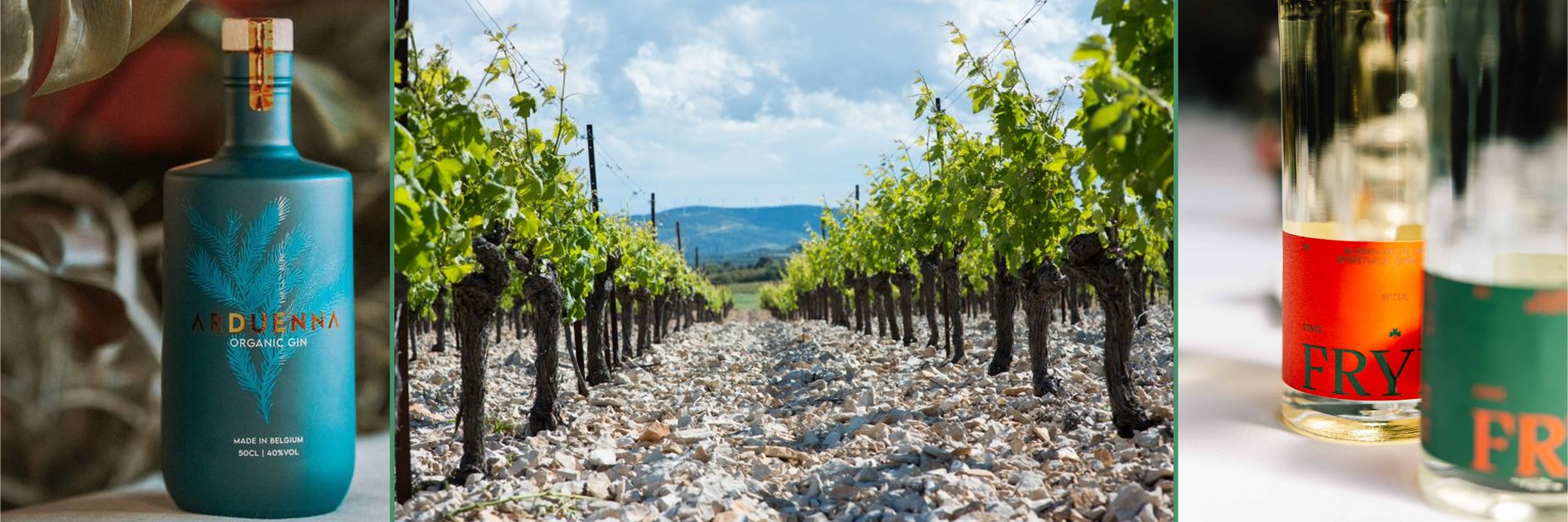 Wijndegustatie -  Februari 2026 