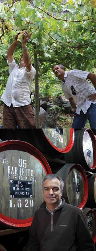 hommes dans les vignes