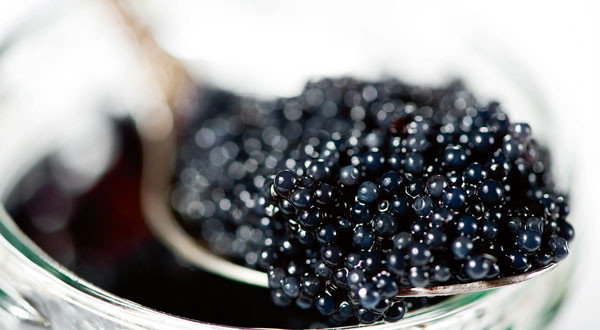 caviar noir sur une cuillère